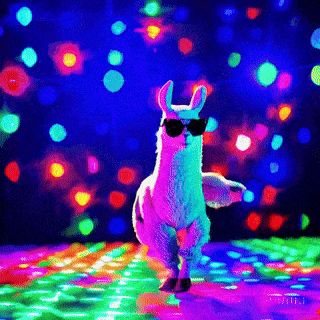 dancing lama -  birthday colors
