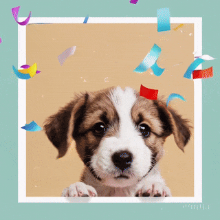 Happy birthday - cute dog and confetti