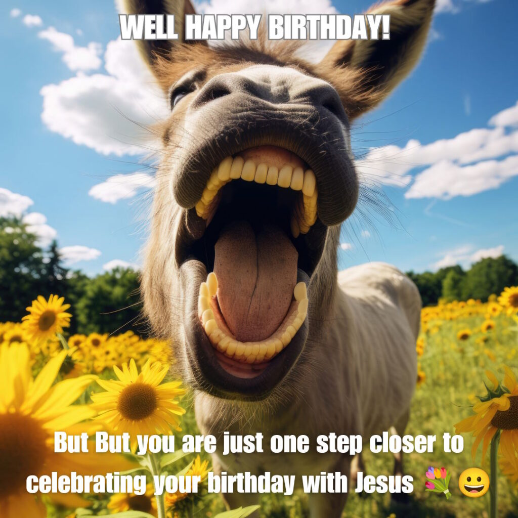 Donkey funny happy birthday meme