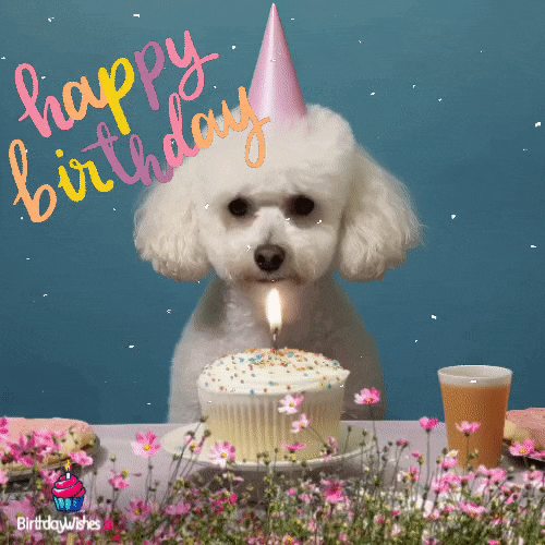 Cute dog wishing happy birthday