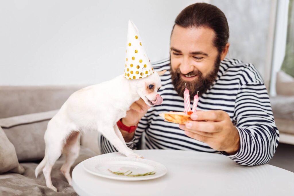 Funny Birthday Messages from the Dog to Kids